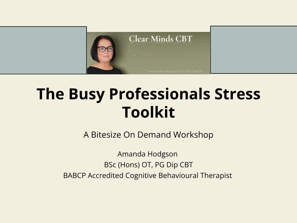 The Busy Professionals Stress Toolkit The Busy Professionals Stress Toolkit